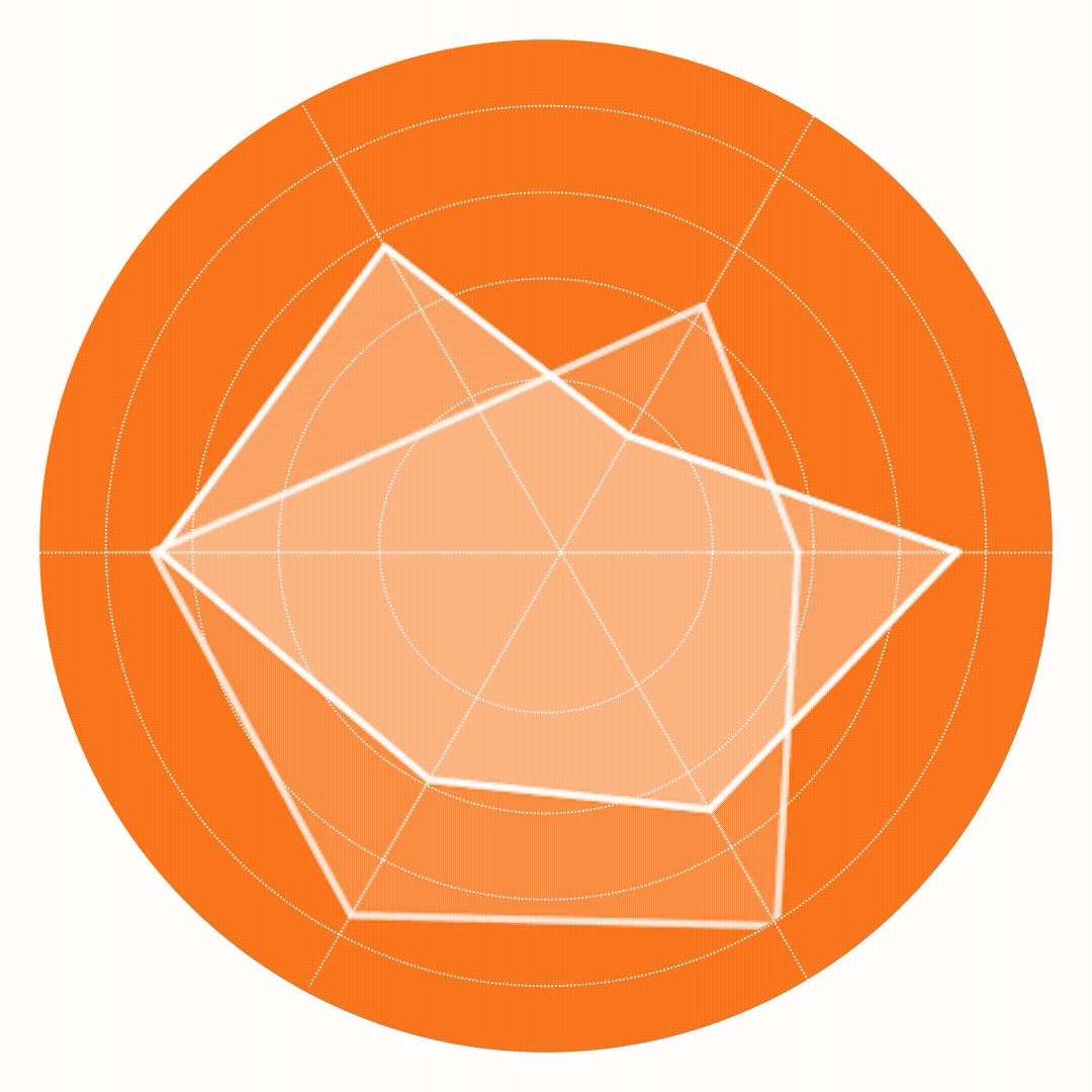 Delivery Lens – Advisory Framework for Engineering Excellence